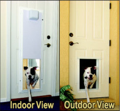 plexidor electronic dog door